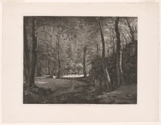 Skogen i Rochecardon