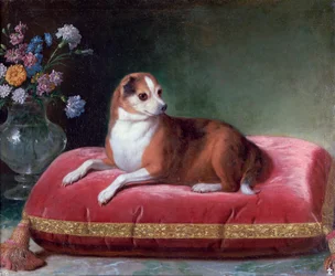 Tiken på en kudde, c1694-1735