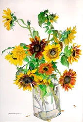 Karens solrosor