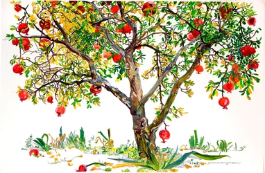 Pomegranate Tree, Monte Sereno (akvarell  tusch på papper)