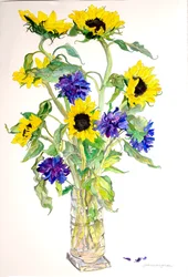 Solrosor Asters