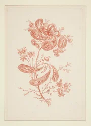 Utan titel (Ideala blommor), från en uppsättning om sex