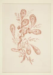 Utan titel (Ideala blommor), från en uppsättning om sex