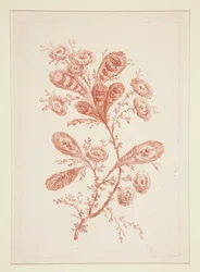 Utan titel (Ideala blommor), från en uppsättning om sex