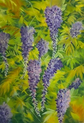 Blåregn blommor  bladverk 2, 2023 (pastell på papper)