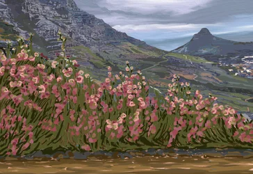 Rosa blommor och utsikt över bergen
