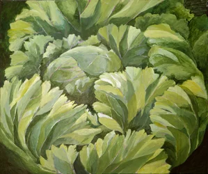 Cabbage, 2013 (akryl på duk)
