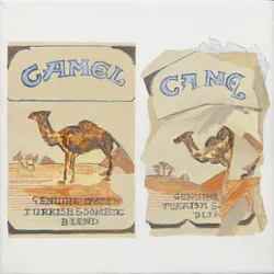 Camel Cigarettpaket
