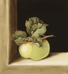 Apple (wc på papper)