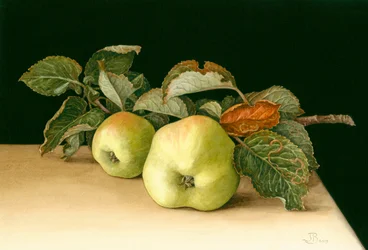 Bramleys
