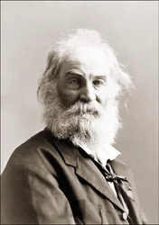 Porträtt av Walt Whitman (1819 - 1892) av Gurney mellan 1880 och 1890.