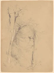 Kaaterskill kryddnejlika
