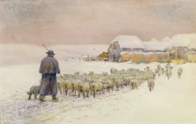 Införing av flocken, 1901