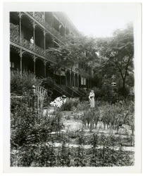 Rhinelander House gardens, W 11th St, Greenwich Village, New York, USA, ca 1905-38 (foto av gelatinsilver)