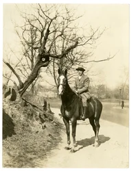 Roland Young, ca 1905-27 (foto av gelatinsilver)