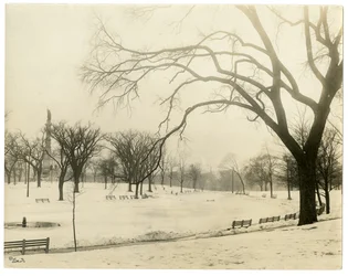 The Common, Boston, USA, ca 1902-10 (foto av gelatinsilver)