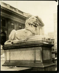 Det högmodiga lejonet framför biblioteket Han förstår Gertrude Steinish, New York, USA, ca 1905-40 (gelatinsilverfoto)