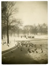 Ovanligt kallt i allmänningen, Boston, USA, ca 1902-10 (foto av gelatinsilver)