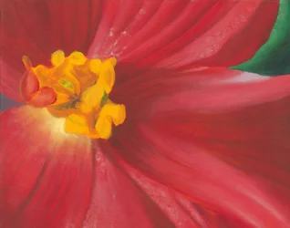 En livfull röd blomma