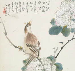 En kinesisk Hwamei, 1857