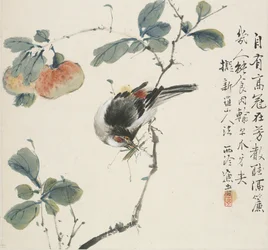 En kinesisk Hwamei som äter en gräshoppa, 1857