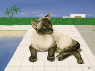 Siamese katt vid en pool
