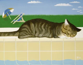 Tabby katt vid en pool
