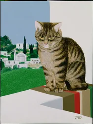 Tabby katt i fönstret