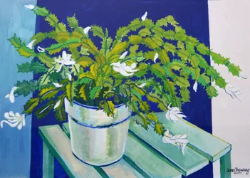 Julkaktus, 2000 (gouache)