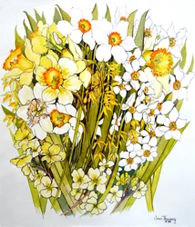 Påskliljor, Narcissus, Forsythia och Primroses, 2000