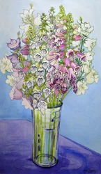 Foxgloves and Campanulas, 2005