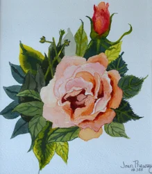 Pink Rose and Bud, 1986,,