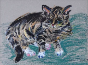 Tigrerad katt, 2005