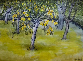 Det lilla päronträdet, 2005