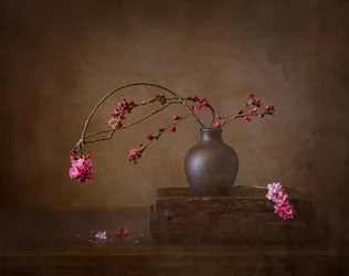 Stilleben med körsbärsblommor