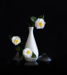 Stilleben med vita kamelior