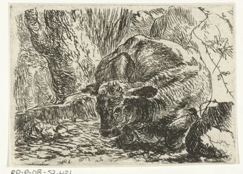 Ko Djur (serietitel)