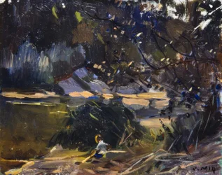 Undervegetation