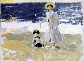 Dam och hund på stranden