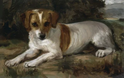 HUND