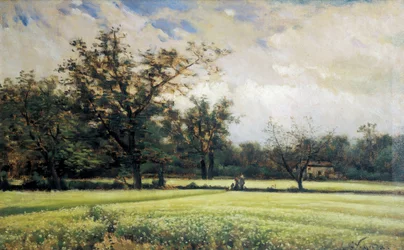 Bovete i blom. Målning av Joaquim Vayreda i Vila (1843-1894). Olja på duk, andra hälften av 1800-talet, spansk konst. Museet i Montserrat (Spanien).