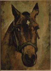 CABEZA DE CABALLO. Artist: JOAQUIN SOROLLA. Plats: PRIVATE COLLECTION, MADRID, SPANIEN