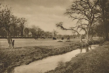 Där Beverley Brook slingrar sig genom Royal Hunting Park of Richmond, c1935.