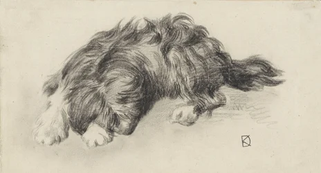 sovande hund