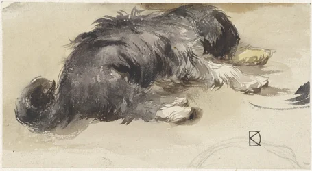 Sovande hund, sedd bakifrån