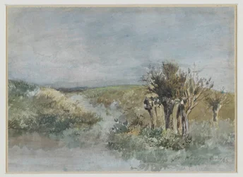 Landskap med pilvid längs ett dike