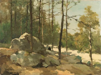 Skogbevuxen utsikt nära Barbizon Skogsutsikt nära Barbizon