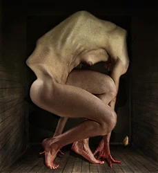 Skam, 2012 (fotografi)