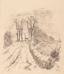 Allé av Vallø