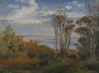 Kolås Wood. Högt väder